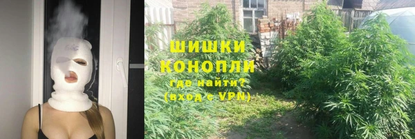 твердый Абаза