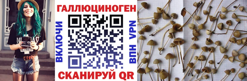 Псилоцибиновые грибы Magic Shrooms Яранск